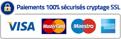 Paiements 100% sécurisés par Stripe